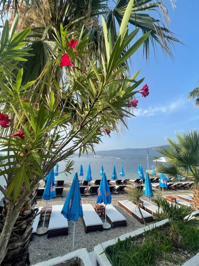 Hotel Azzurro Herceg Novi Eksteriør bilde